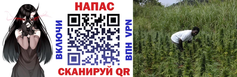 Купить наркотик Михайловск Cocaine  Каннабис  Меф мяу мяу  ГАШ 