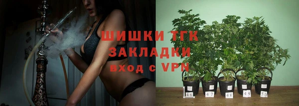 гидра Белоозёрский