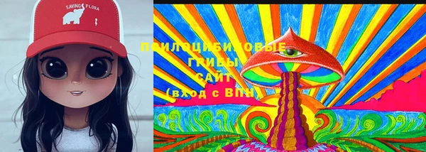 ПСИЛОЦИБИНОВЫЕ ГРИБЫ Белокуриха