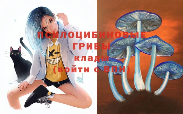 ПСИЛОЦИБИНОВЫЕ ГРИБЫ Белокуриха