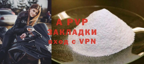 ПСИЛОЦИБИНОВЫЕ ГРИБЫ Белокуриха